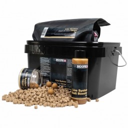 Live System Session Pack CCMoore