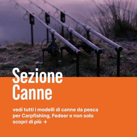 Canne da Pesca